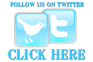 CLICK HERE to follow Ketch Harbour Wolves on Twitter